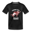 Cherry Hill Demons T-Shirt (Youth) - charcoal gray