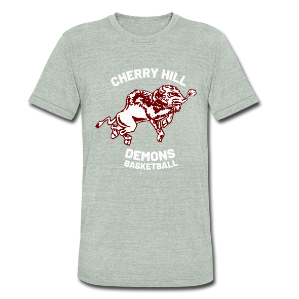 Cherry Hill Demons T-Shirt (Tri-Blend Super Light) - heather gray