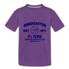 Binghamton Flyers T-Shirt (Tri-Blend Super Light) - purple