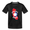 Fresno Stars T-Shirt (Youth) - charcoal gray
