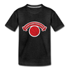 Hartford Capitols T-Shirt (Youth) - charcoal gray