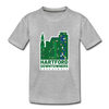 Hartford Downtowners T-Shirt (Youth) - heather gray