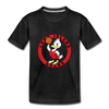 Long Island Ducks T-Shirt (Youth) - charcoal gray