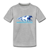 Minnesota Fillies T-Shirt (Youth) - heather gray